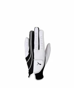 Puma All Leather Perf LH Glove