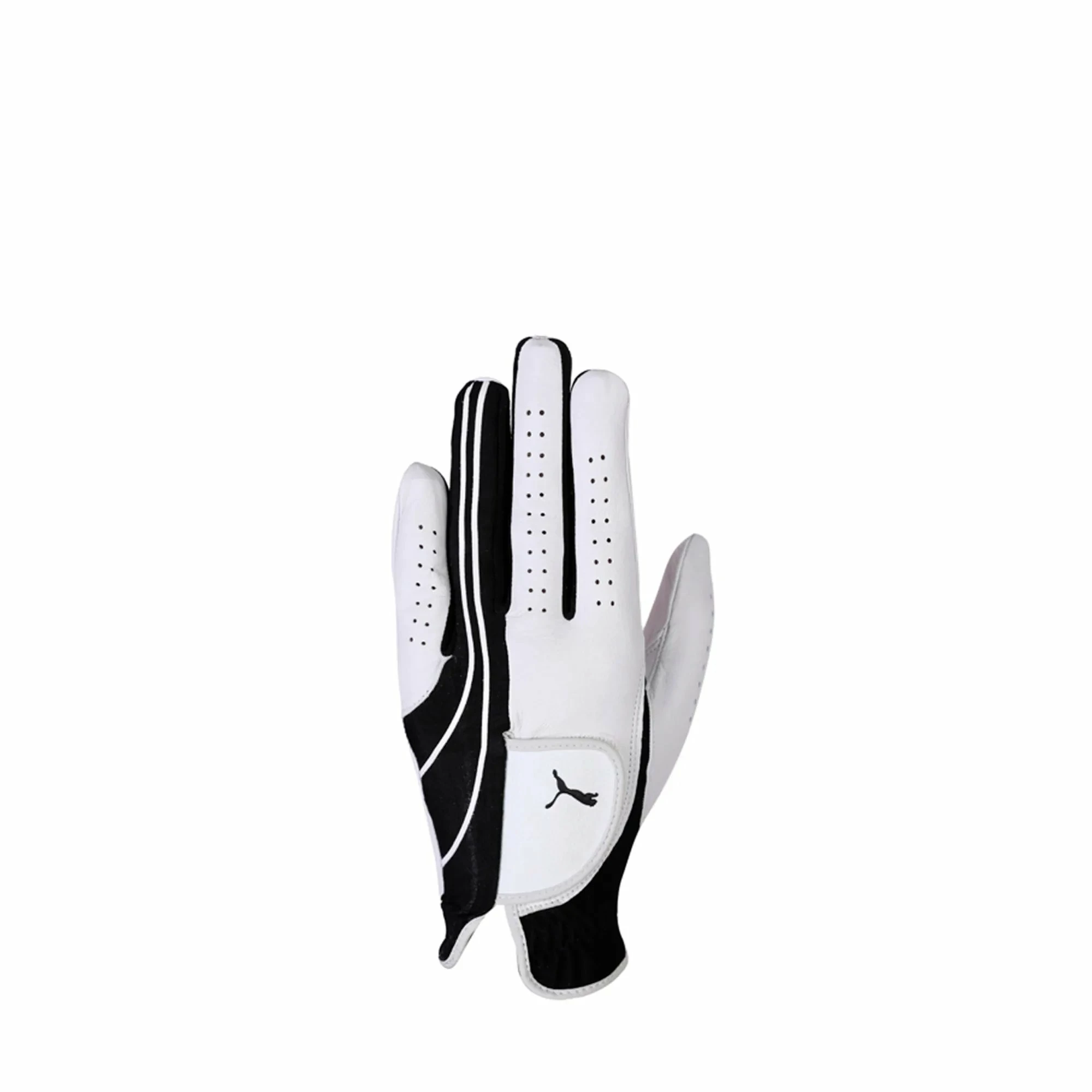 Puma All Leather Perf LH Glove 1 Puma All Leather Perf LH Glove